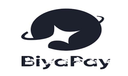 新加坡数字加密货币平台：未来金融的摇篮还是泡沫的根源？