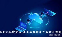 揭秘Iris加密货币：未来的