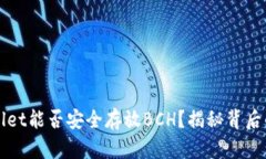 TPWallet能否安全存放BCH？揭