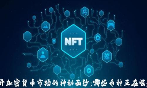 
揭开加密货币市场的神秘面纱：哪些币种正在崛起？