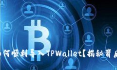 小狐狸如何顺利导入TPWallet？揭秘背后的秘密！