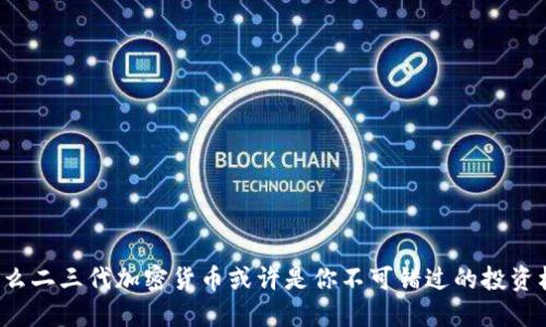为什么二三代加密货币或许是你不可错过的投资机会？