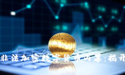 你不知道的非法加密数字货币内幕：揭开隐藏的真相