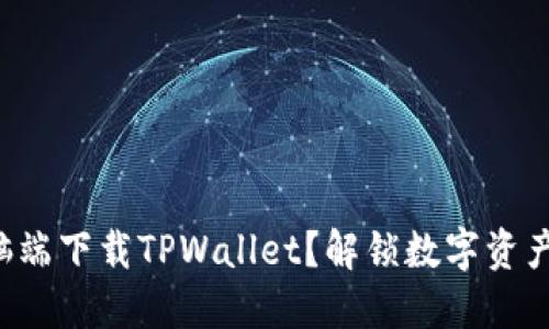 如何在电脑端下载TPWallet？解锁数字资产的新世界！