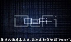 当加密货币风潮席卷而来，你知道如何识别“P