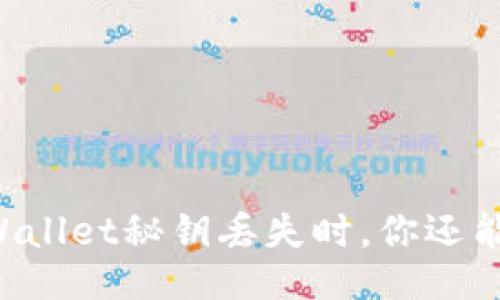 当你的TPWallet秘钥丢失时，你还能找回什么？