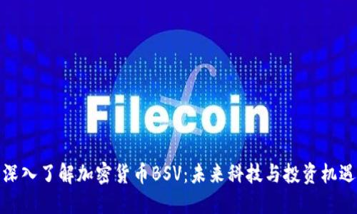 深入了解加密货币BSV：未来科技与投资机遇