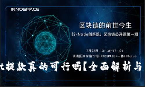 TPWallet提款真的可行吗？全面解析与用户指南