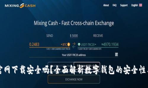 tpwallet官网下载安全吗？全面解析数字钱包的安全性与使用指南