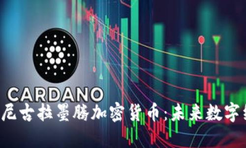  深入了解尼古拉墨腾加密货币：未来数字经济的黑马