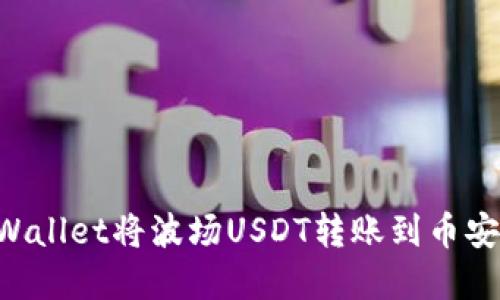 如何通过TPWallet将波场USDT转账到币安链：完整指南