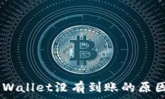   USDT提到TPWallet没有到账的原因及解决方案