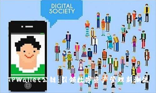 TPWallet公链：引领数字资产管理新潮流