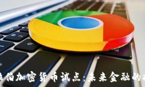   
沙特阿拉伯加密货币试点：未来金融的探索之路