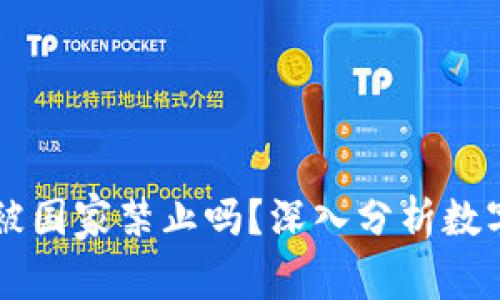 TPWallet会被国家禁止吗？深入分析数字钱包的未来