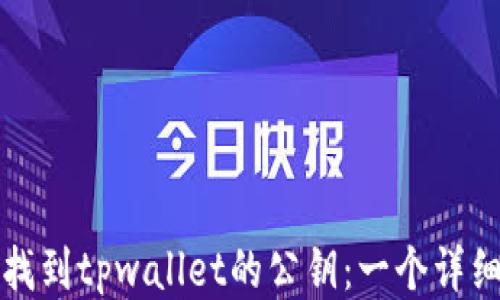 
如何找到tpwallet的公钥：一个详细指南
