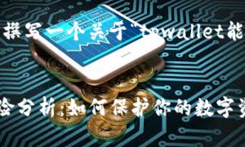 在这里，我将为您撰写一个关于“tpwallet能仿冒吗？”的内容。


tpwallet仿冒风险分析：如何保护你的数字资产？