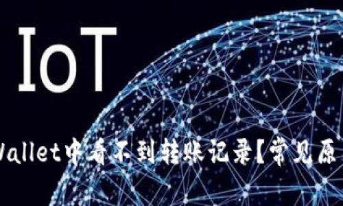 为什么在TPWallet中看不到转账记录？常见原因及解决方法