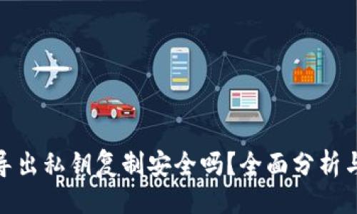 易于且的  
tpwallet导出私钥复制安全吗？全面分析与防范措施