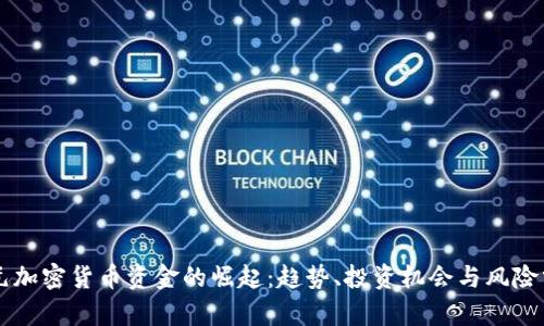 美元加密货币资金的崛起：趋势、投资机会与风险分析