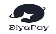 如何在TPWallet中增加代币合